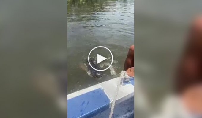 What a good boy
