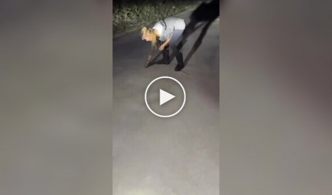 Приняла питона за безобидную змею: ошибка закончилась реанимацией