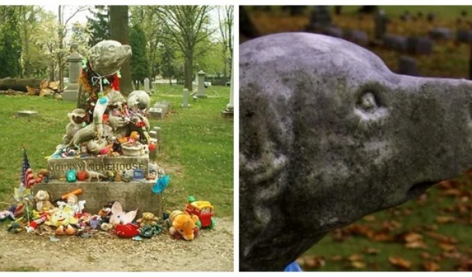 Johnny Morehouse's grave and the touching story behind the creation of the tombstone (8 photos)