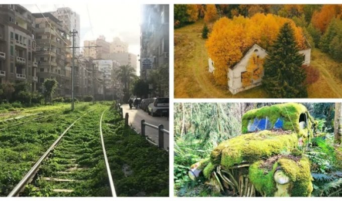 35 cases when nature prevailed over civilization (36 photos)