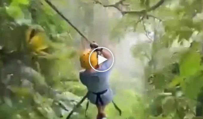 The guys were riding a zip line and crashed into a local inhabitant