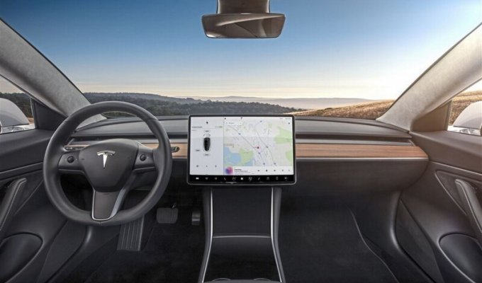 Tesla и его автопилот (1 фото)