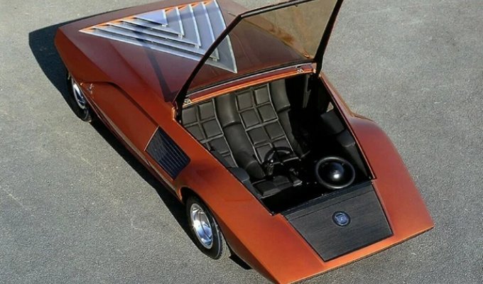 An unusual luxury car from 1970 (11 photos)