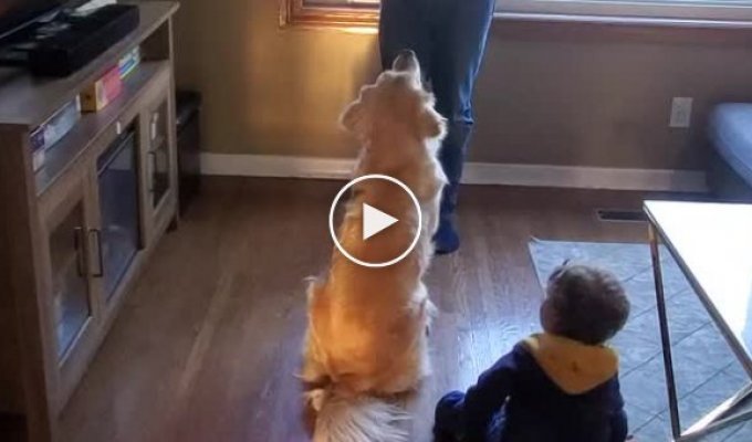 Одинаковое воспитание собаки и ребенка