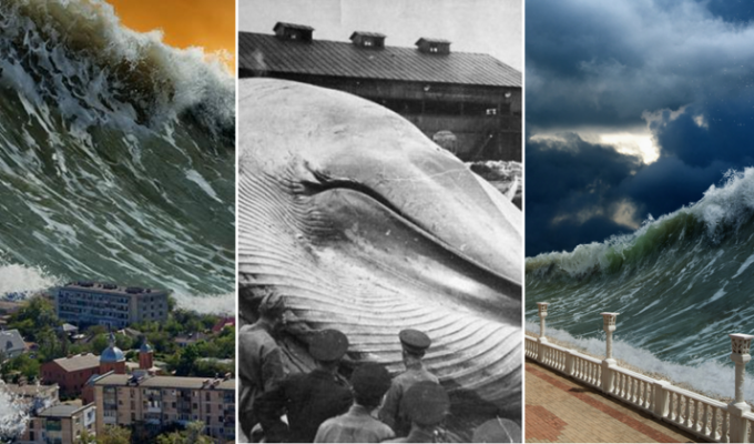 Несколько разрушительных фактов о цунами (11 фото + 1 видео)