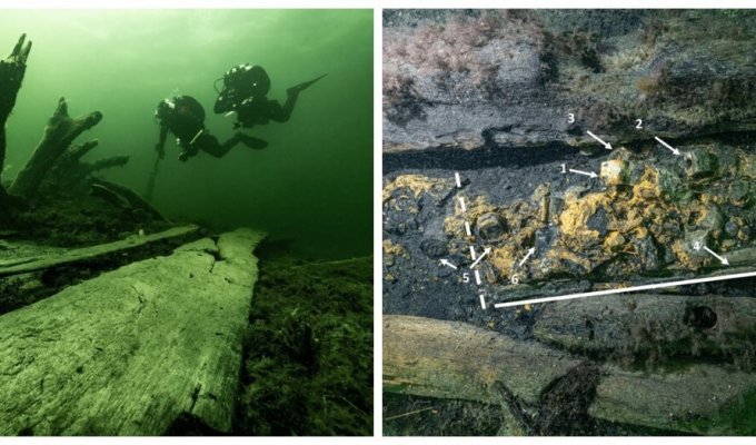 An ammunition box was found behind a sunken medieval ship (4 photos)