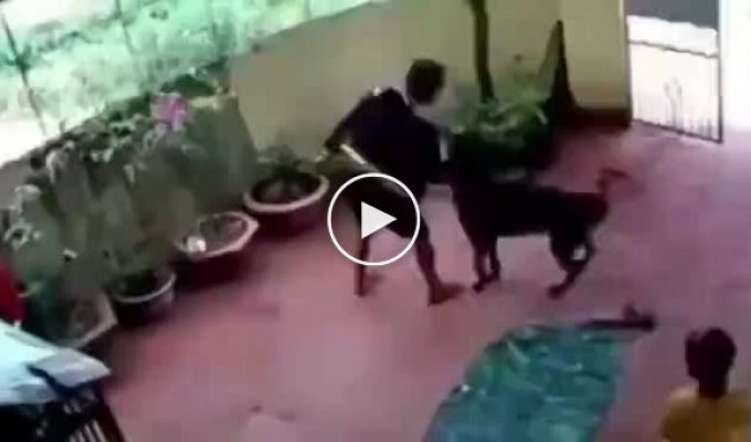 A true protector: the dog pretended to be dead and saved the girl