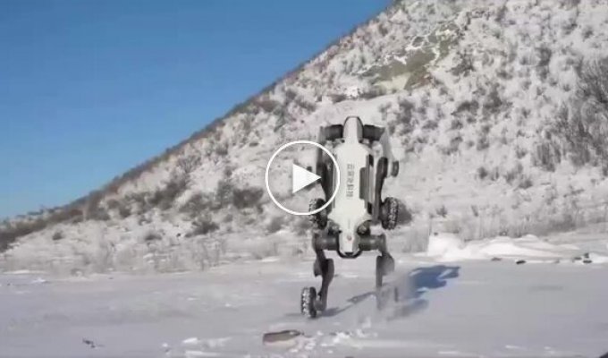 Китайцы протестировали робособаку в экстремальных условиях