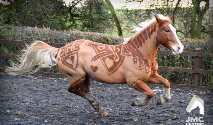 Фигурные стрижки лошадей от британской художницы (9 фото)
