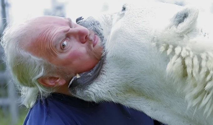 The only polar bear in history to live with people as a pet (8 photos)