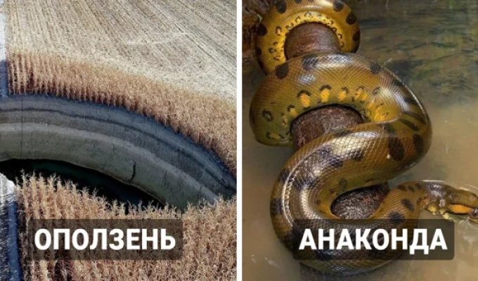 18 фотографій величі природи, які зачаровують та злегка лякають одночасно (19 фото)