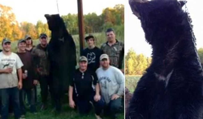 Охотник победил в схватке с 240-килограммовым медведем (6 фото)