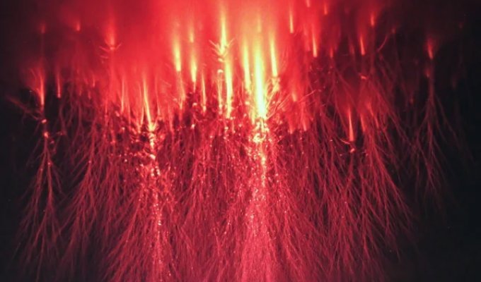 Красные духи-пришельцы в небе (4 фото + видео)