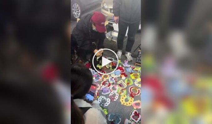 Модель для съемок одежды для домашних питомцев