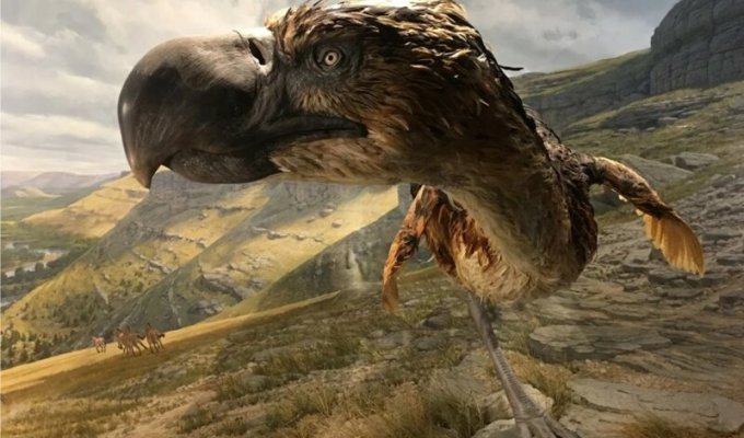 Ученые обнаружили, что за детьми древних людей охотились гигантские птицы (1 фото)