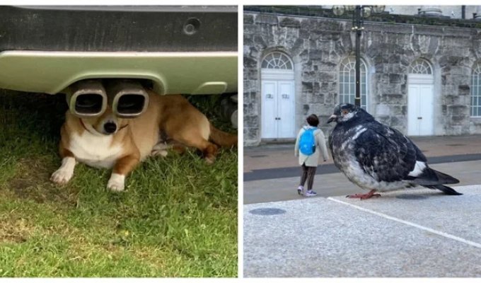 22 Amazing Photos Where Angle Matters (22 photos)