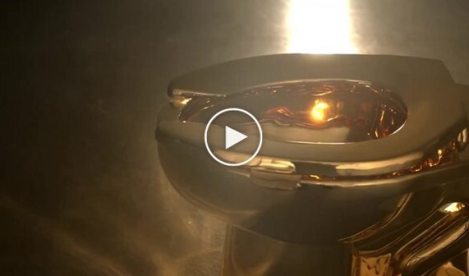 Стокилограммовый золотой унитаз продали на аукционе