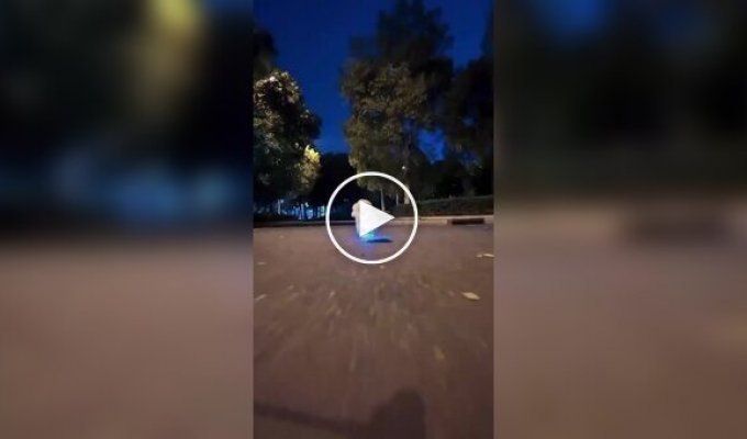 Пес, що ніби зійшов з постера до «Месників»