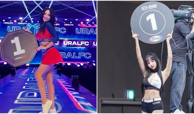 What ring girls look like that attract the attention of fans (16 photos)