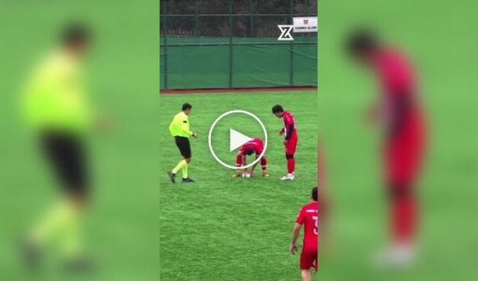 Футболист сбил чайку в полете