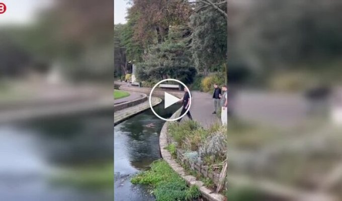 Когда переоценил свои способности