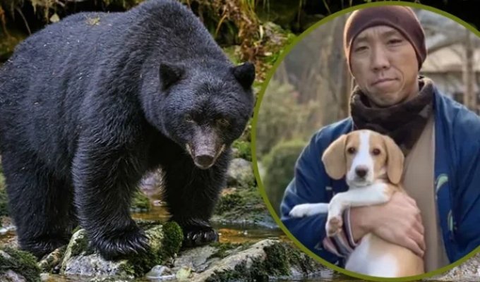 Крошечный бигль спас монаха от нападения медведя во время пробежки (3 фото + 1 видео)