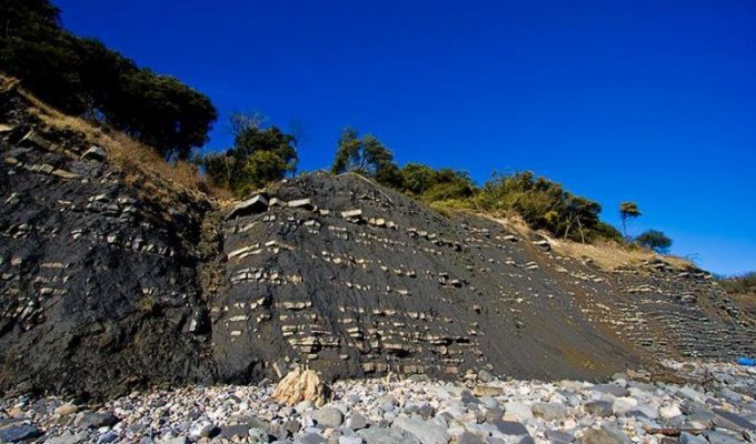 Пляж Юрского периода, Лайм Реджис (16 фотографий)