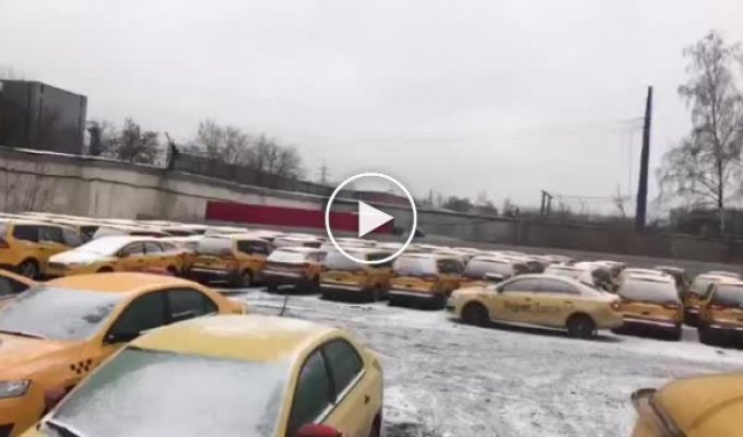 В Москве обнаружили кладбище желтых такси видео