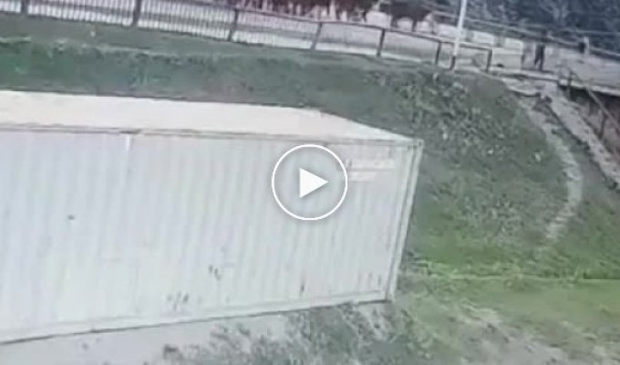На Алтае автомобилистка на ВАЗе влетела в стадо коров