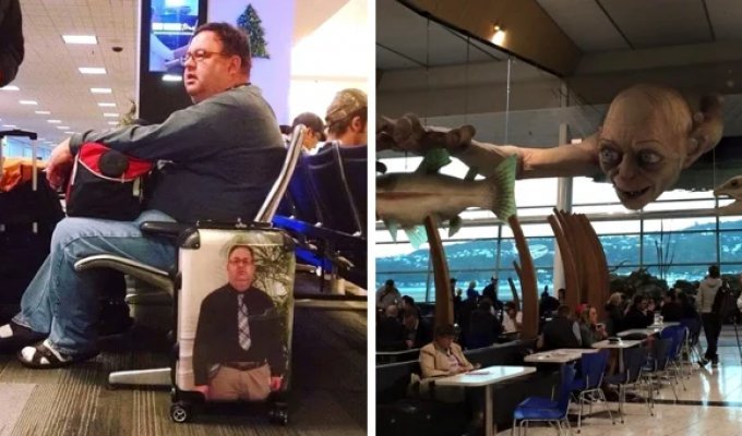 19 cases when people were waiting at airports and on planes for something even cooler than in the places they were flying to (20 photos)