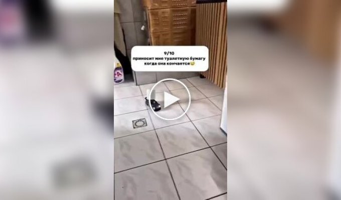 Девушка подарила парню радиоуправляемый Porsche