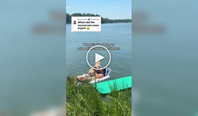 Идем ко дну: парень показал отдых с двумя золотистыми ретриверами