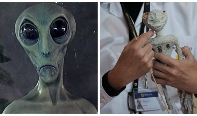 Peru has denied the alien origin of mummies found in the Nazca desert (7 photos)