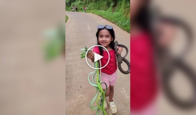 In Indonesia, a girl plays with snakes instead of dolls