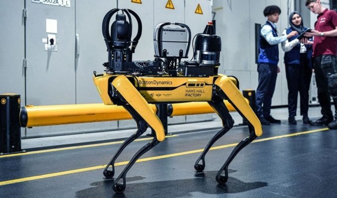 The robot dog was tasked with maintaining order at the BMW plant (7 photos + 1 video)