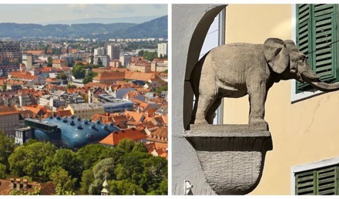 Слон в нише: история о самом первом слоне Граца (11 фото)