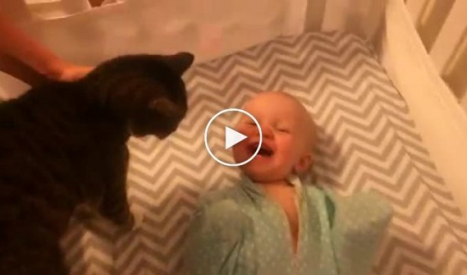 The reaction of a baby who sees a cat for the first time