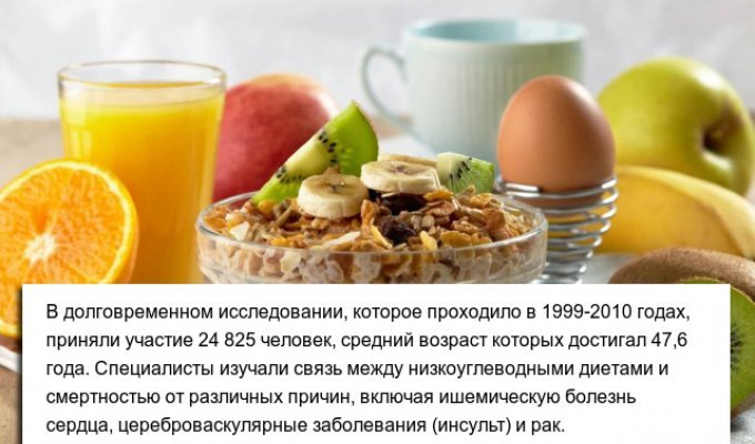 Польские ученые разрушили миф о полезности низкоуглеводной диеты (3 фото)