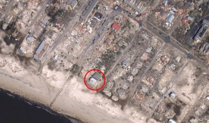 "Песчаный дворец", который устоял во время урагана "Майкл" (5 фото)