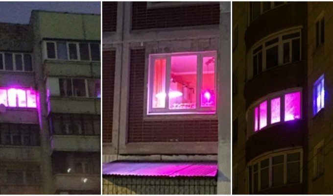 Загадочные фиолетовые окна в домах россиян: зачем люди включают этот яркий свет? (7 фото)