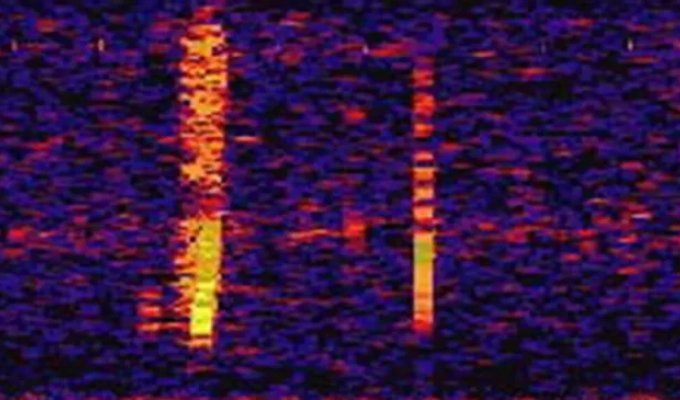 Что издавало таинственный звук Bloop в Точке Немо? (3 фото)