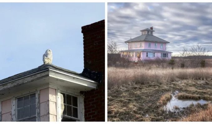 The pink house on Plum Island and its dark history (13 photos + 1 video)