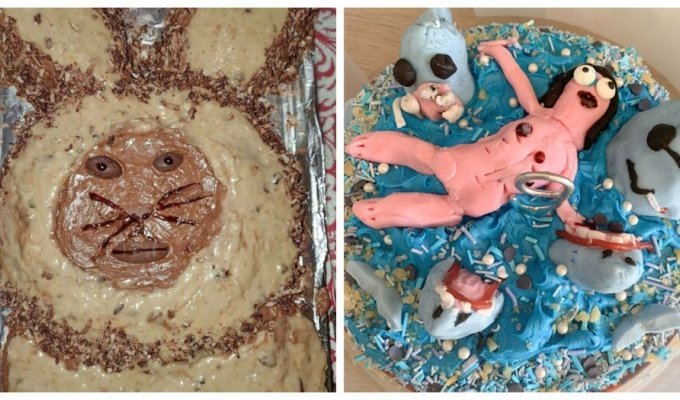 When I wanted to bake a cake, but everything went wrong (28 photos)