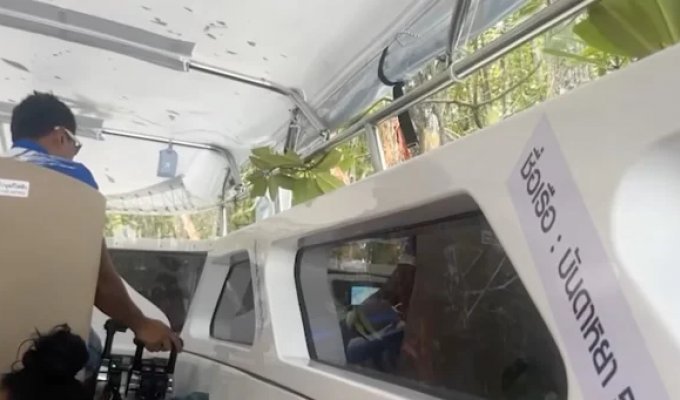 A boat with tourists flew into a mangrove forest in Thailand (5 photos + 1 video)