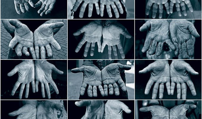 Руки и дела, которые они делают (12 фото)