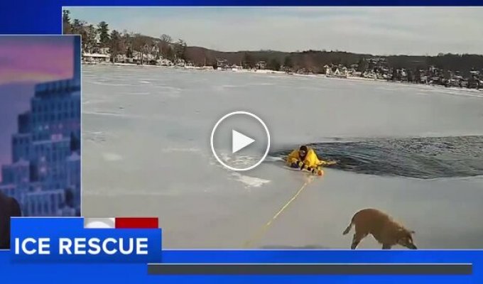 Полицейский спас собаку, провалившуюся под лед