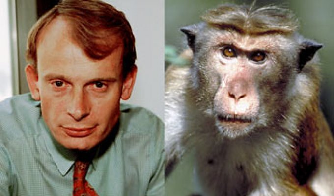 Люди-обезьяны. Дарвин был прав (9 фото)