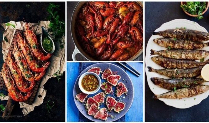 Шеф-повар в ударе: 60 блюд с рыбой и морепродуктами которые выглядят как картины в музее (61 фото)