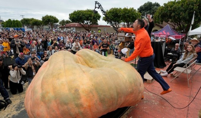 A pumpkin weighing 1246 kg set a new world record (11 photos)