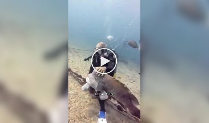 Обычные будни дайверов